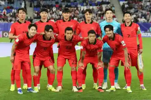 韩国队男足阵容阵容图插图