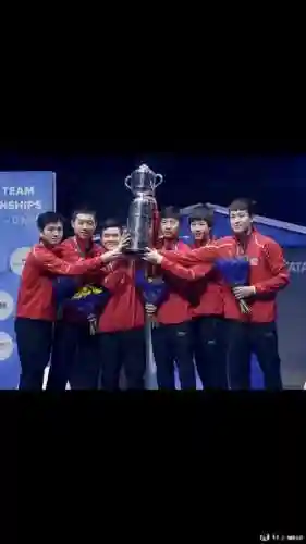 世乒赛2018阵容