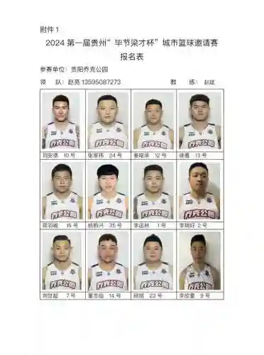 贵州球王阵容插图