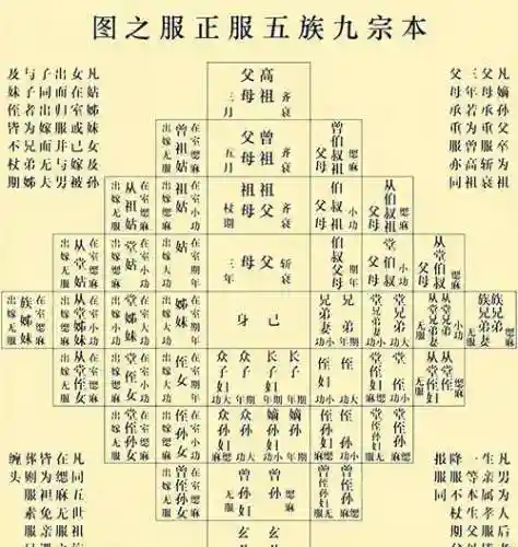 远族阵容插图1