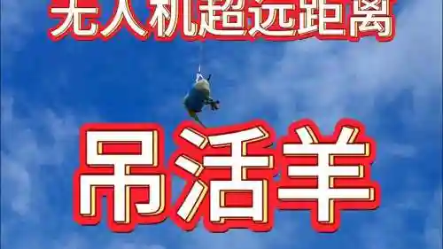 吊羊游戏攻略插图