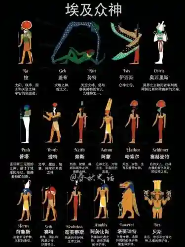 埃及对阵容插图1