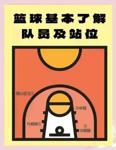 篮球阵容介绍插图
