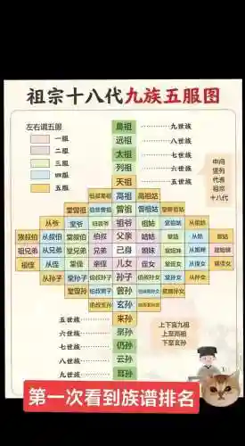 家主阵容插图