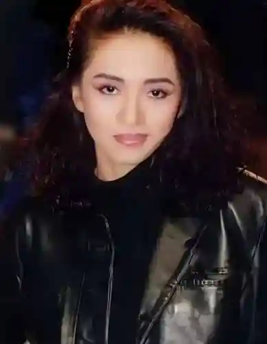 阵容纪念梅艳芳插图1