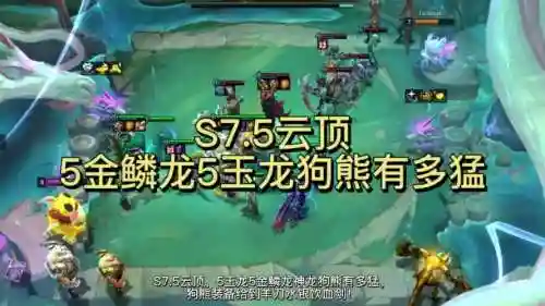 狗熊阵容7.5_1
