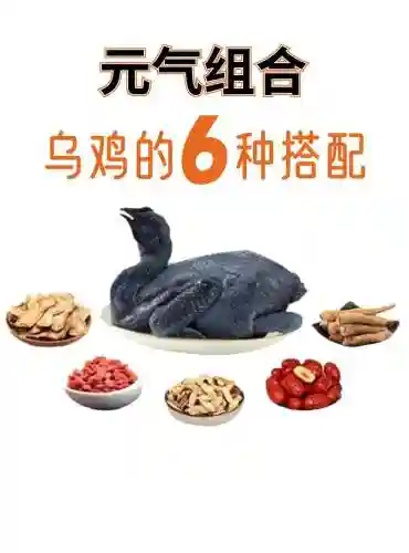 乌鸡柔化是什么技能_1