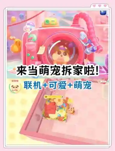 逗逗宠阵容