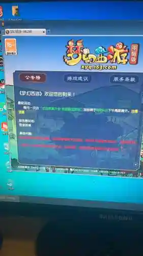 梦幻西游进游戏掉线插图
