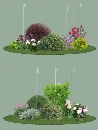 花园阵容搭配插图1