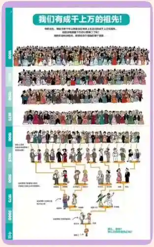家族阵容搭配插图1