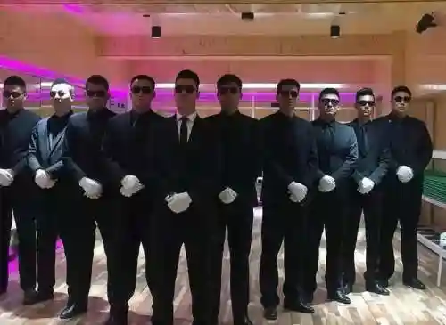 顶级保镖阵容搭配插图1