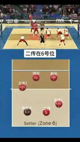 排球配套阵容搭配插图