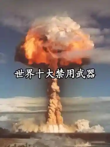 世界十大禁止武器插图