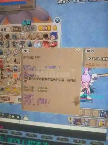 希望ol商店武器插图1