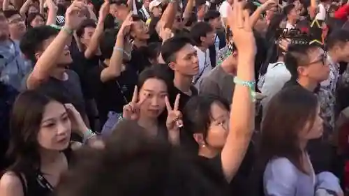 雏菊珠海阵容插图1