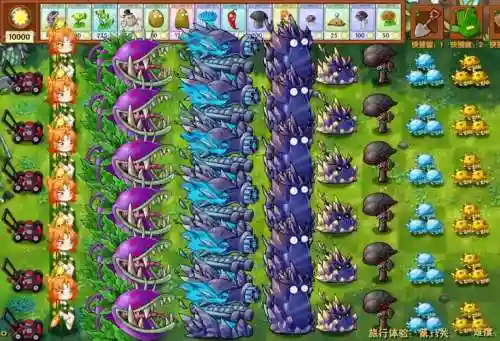 pvz复制阵容插图1