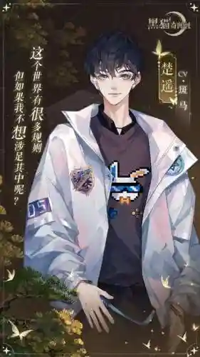 黑猫cv阵容插图