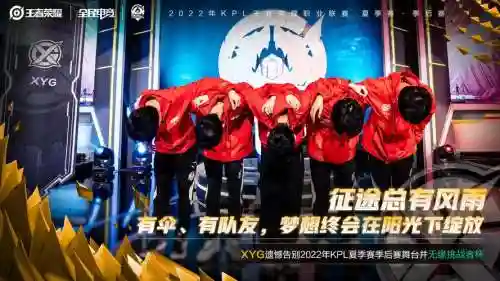 xyg练阵容