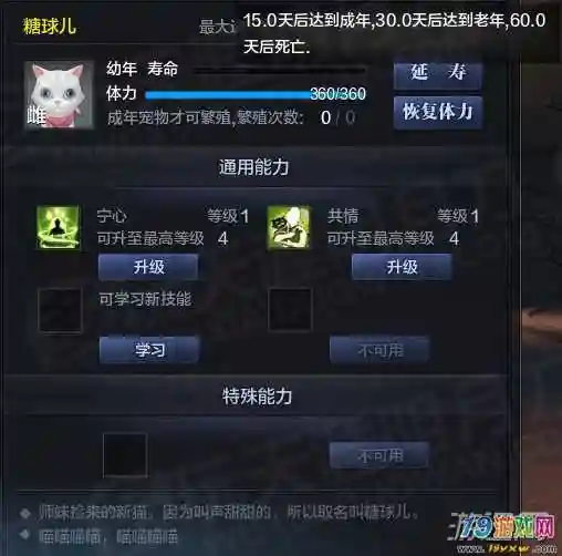 天刀普通宠物的技能