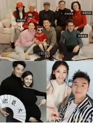 综艺夫妻阵容插图