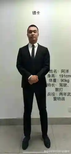 最新保镖阵容搭配插图1