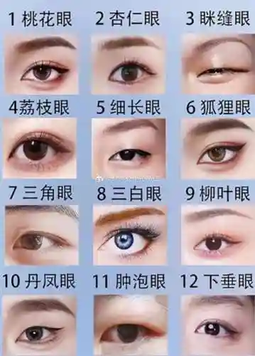 眼睛眼阵容