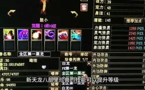 天龙宠物打技能插图1