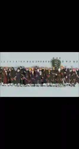 晓目前阵容插图1
