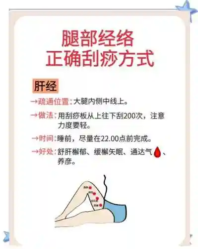 硬刮痧阵容插图
