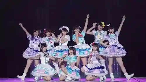 幼态阵容