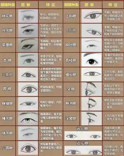 眼睛眼阵容插图