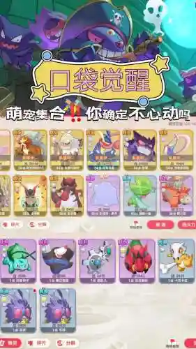 口袋觉醒贫民最强阵容搭配插图