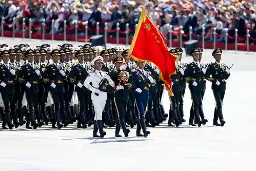 阅兵的阵容插图