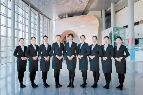 国宾接待阵容插图