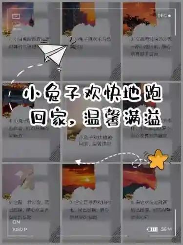 小兔兔回家25关攻略插图