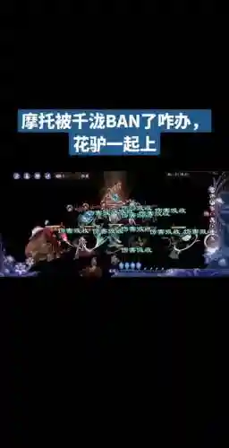 驴花阵容搭配插图1