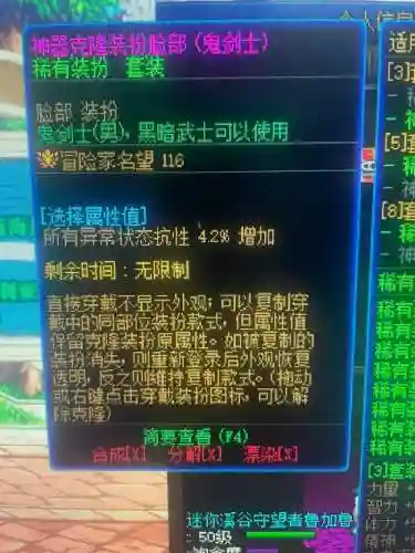 dnf黑暗武士传说套装备选择插图