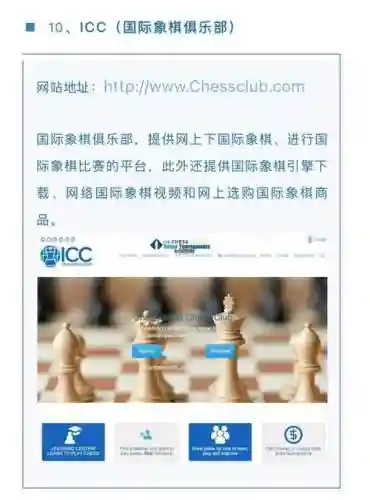 下棋阵容网站