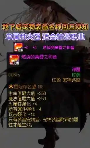 地下城与勇士年套宠物装备插图