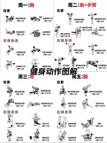 铁哑铃什么技能搭配插图
