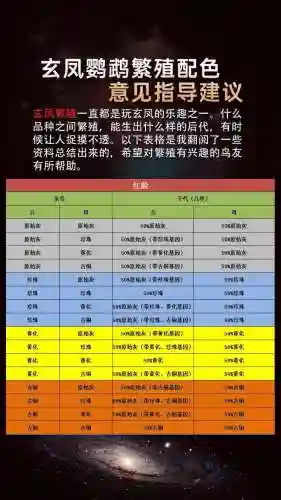鹦鹉阵容搭配_1插图