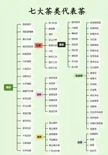 新茶阵容名单插图1