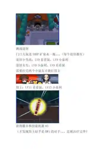 口袋妖怪黑一周目飞行道馆攻略插图