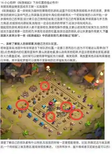 蚁族阵容搭配插图1