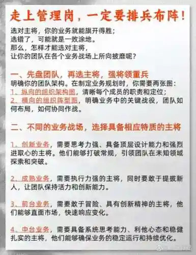 如何比喻阵容插图1