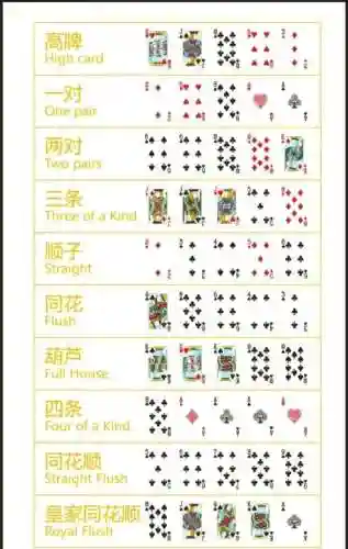 德州搭配阵容