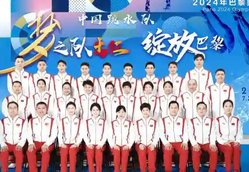 中国跳水阵容插图1