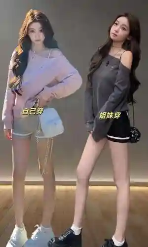 露丝阵容搭配插图