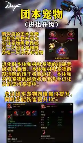 有宠物打装备的手游_1插图